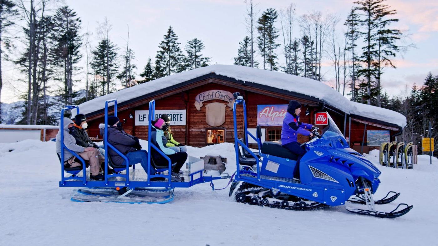 Motoslitta da lavoro Alpina