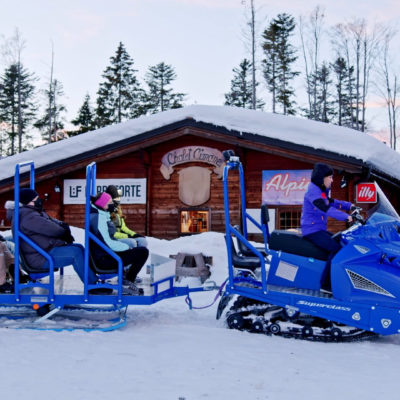 Motoslitta da lavoro Alpina