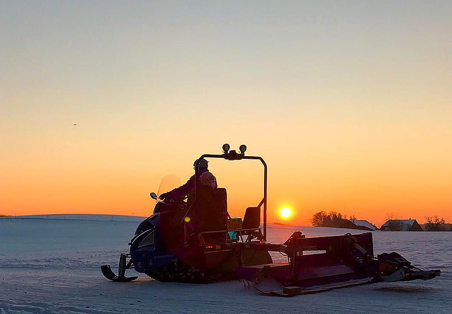Grooming Sunset