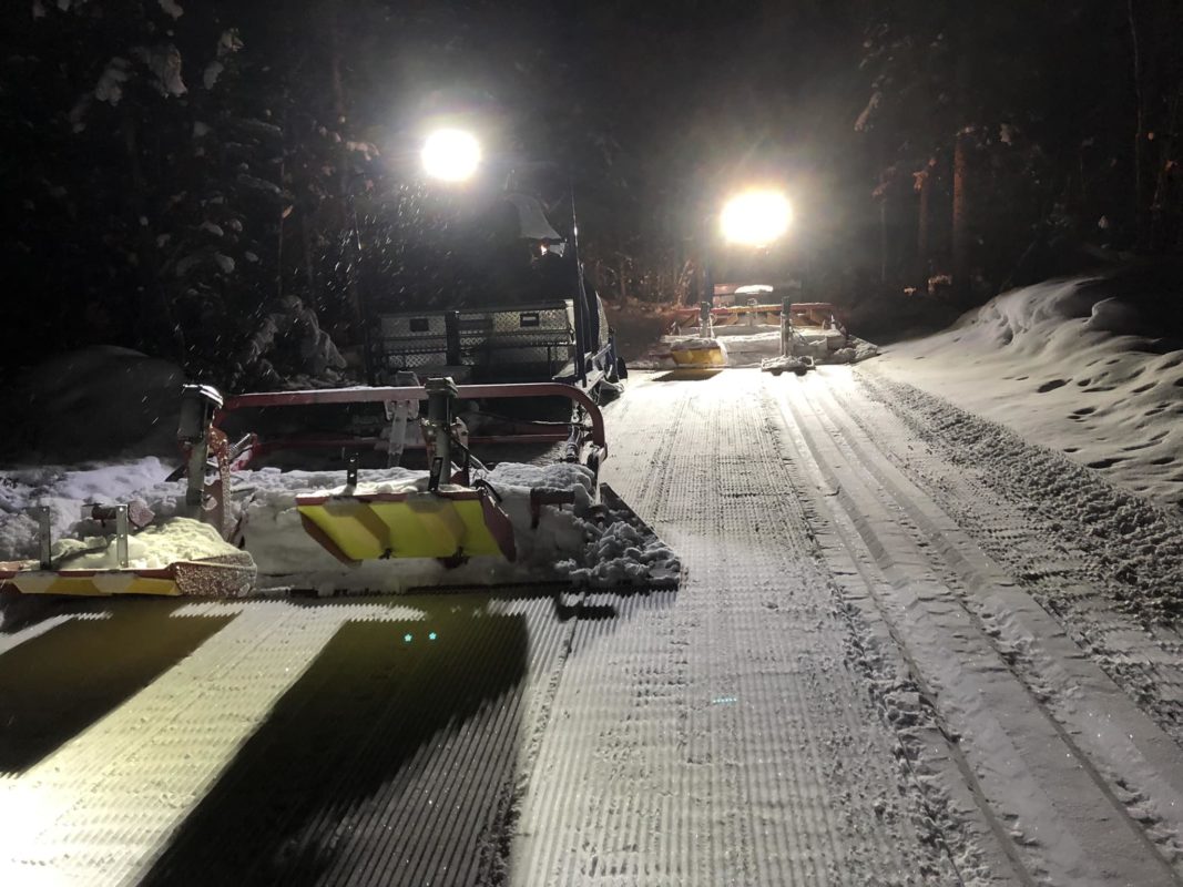 Nite grooming at Whitehorse