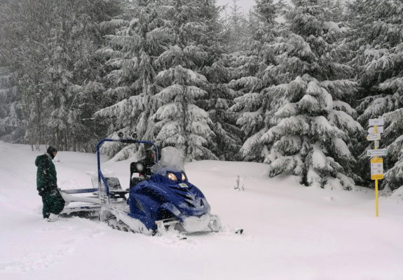 TODAY’S ADVICE FOR A GOOD XC-SKI TRAIL