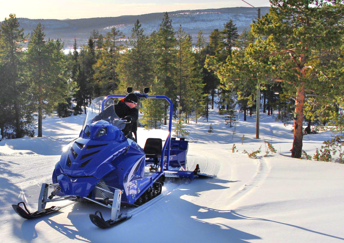 Cross-country experts with ecological awareness