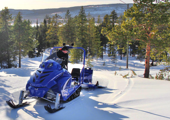 Cross-country experts with ecological awareness