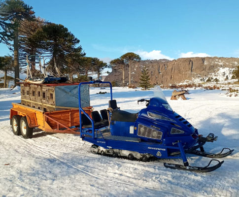 sleddog expedition with Sherpa 1.4L