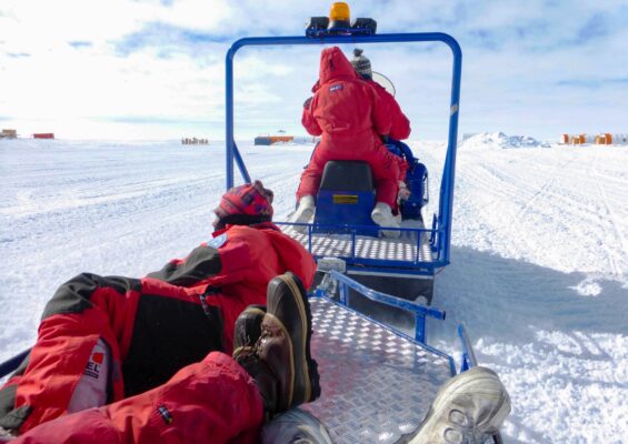 Tireless workers, priceless companions